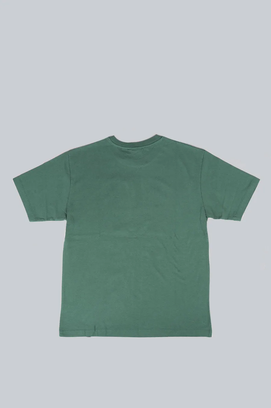PARRA HOT SPRINGS T-SHIRT PINE GREEN
